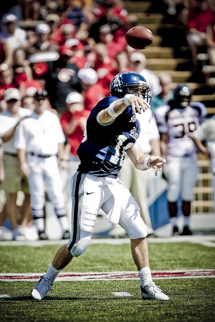 英超托特納 英超托特納