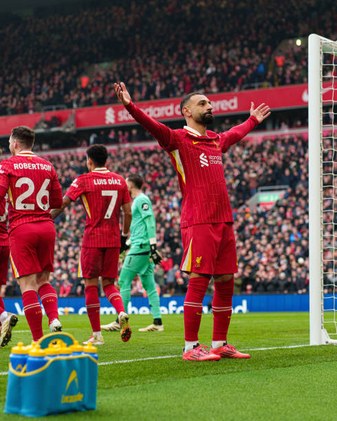 夺冠阵容 夺冠阵容